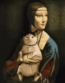 Картина по номерам Незнайомка з кішкою 40 х 50 см