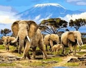 Картина по номерам Зграя слонів 40 х 50 см