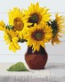 ������� �� ������� �����-���� 40x50 �� Brushme ( ����� ) ������� �� ������� BS52541