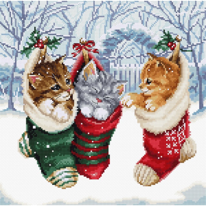 ���� ��� ��������� ��������� ������ �������� 24 x 24 �� ( ����� Aida 16 )