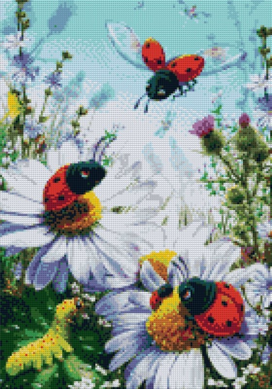 ������� ������� �� ��������� ������� �� ������� � ��������� 50 � 35 �� ( ��������� �������� )