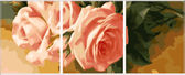 Картина-триптих по номерам Триптих. Ніжні троянди (вертикальна), 50х150см