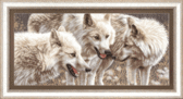 Набір для вишивання хрестиком Білі вовки, 73x34 см ( канва Aida 14  ) повна