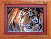 Набір для вишивання хрестиком Тигр, 31x21 см