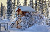 Домик лесника 40x50 см, (на подрамнике) круглые камни, полная