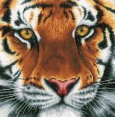 Набір для вишивання хрестиком Тигр, 35x34 см (біла)
