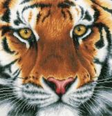 Набір для вишивання хрестиком Тигр, 35x34 см (біла)