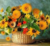 Алмазная вышивка на подрамнике Летняя корзинка 40x50 см, (на подрамнике) круглые камни, полная