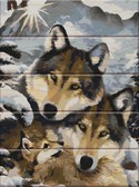 Картина по номерам Вовки 30х40 см (дерев'яна основа) ArtStory ( на дереві ) ASW013