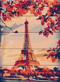 Картина по номерам Париж 30х40 см (дерев'яна основа)