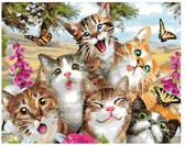 Картина по номерам Сім'я котячих бавиться, 40х50см Brushme ( Брашмі ) картини по номерах GX25935