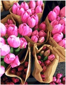Картина по номерам Голландські тюльпани, 40х50 см
