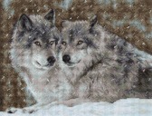 Набір для вишивання хрестиком Два вовки 27 х 20,5 см Luca-S ( Молдова ) B2291