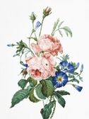 Набір для вишивання хрестиком Букет із трояндами 19x28 см ( рівномірна тканина )