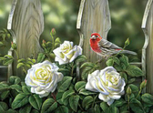 Алмазна вишивка Птах на садових трояндах 40х30 см, квадратне каміння, повний