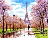 Картина по номерам Квітень у Парижі 40 х 50 см