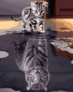 Картина по номерам Душа тигра 40 х 50 см Mariposa MR-Q2181