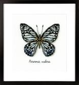 Набір для вишивання хрестиком Блакитний метелик 16x15 см