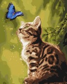 Картина по номерам Загадковий метелик 40 х 50 см Ideyka ( Ідейка ) KHO4150
