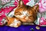 Алмазная вышивка Мама согреет 20x30 см, квадратные камни, полная Чаривний диамант КДИ-0965