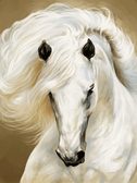 Алмазна вишивка Грація - Білий кінь 45x60 см, квадратне каміння, повний
