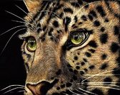 Алмазна вишивка Погляд леопарда Квадратні см, квадратне каміння, повна
