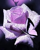 Алмазна вишивка Прекрасна троянда 40x50 см, квадратне каміння, повна