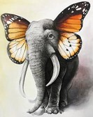 Алмазная вышивка на подрамнике Большой мотылек 40x50 см, (на подрамнике) круглые камни, полная