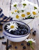 Алмазная вышивка на подрамнике Натюрморт с ромашками 40x50 см, (на подрамнике) круглые камни, полная