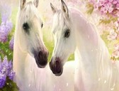 Алмазная вышивка на подрамнике Белые лошадки 40x50 см, (на подрамнике) круглые камни, полная