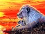 Алмазная вышивка на подрамнике Лев с львенком 40x50 см, (на подрамнике) круглые камни, полная Диамантові ручки 188512