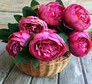 Алмазная вышивка на подрамнике Пионы 30x30 см, (на подрамнике) круглые камни, полная Диамантові ручки 188715