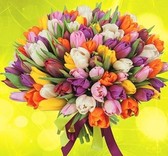 Алмазная вышивка на подрамнике Тюльпаны разноцветные 30x30 см, (на подрамнике) круглые камни, полная