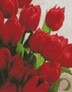Алмазная вышивка на подрамнике Любимой 40х50 см ( на подрамнике ) квадр.камни, полное заполнение Идейка ( алмазная вышивка ) AM6129