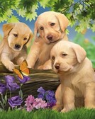 Алмазная вышивка на подрамнике Собачки маленькие 40x50 см, (на подрамнике) круглые камни, полная