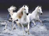 Алмазная вышивка на подрамнике Три белых лошадки 40x50 см, (на подрамнике) круглые камни, полная