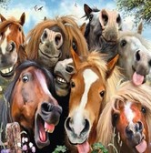 Алмазная вышивка на подрамнике Смешные лошадки 30х30 см, ( на подрамнике ) круглые камни, полная