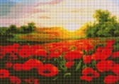 Алмазная вышивка на подрамнике Маки на закате 40x50 см, (на подрамнике) круглые камни, полная