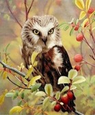 Алмазная вышивка на подрамнике Совушка на веточке 40x50 см, (на подрамнике) круглые камни, полная