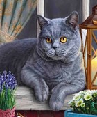Алмазная вышивка на подрамнике Важная мордочка 40x50 см, (на подрамнике) круглые камни, полная