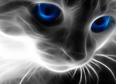 Алмазная вышивка на подрамнике Магия взгляда 40x50 см, (на подрамнике) круглые камни, полная