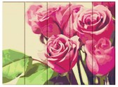 Картина по номерам Рожеві троянди 30х40 см (дерев'яна основа)