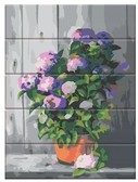 Картина по номерам Квіти в горщику 30х40 см (дерев'яна основа)