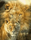 Картина по номерам Лев та левиця 40х50 см
