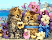 Картина по номерам Маленькі кошенята 40х50 см