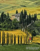 Картина по номерам Подорож у Тоскану, 40х50см Ideyka ( Ідейка ) KHO2297