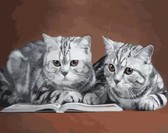 Картина по номерам Сірі коти, 40х50см ArtStory ( Україна ) AS1025
