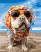 Картина по номерам Пес на пляжі, 40х50см