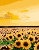 Картина по номерам Поле соняшників, 40х50см