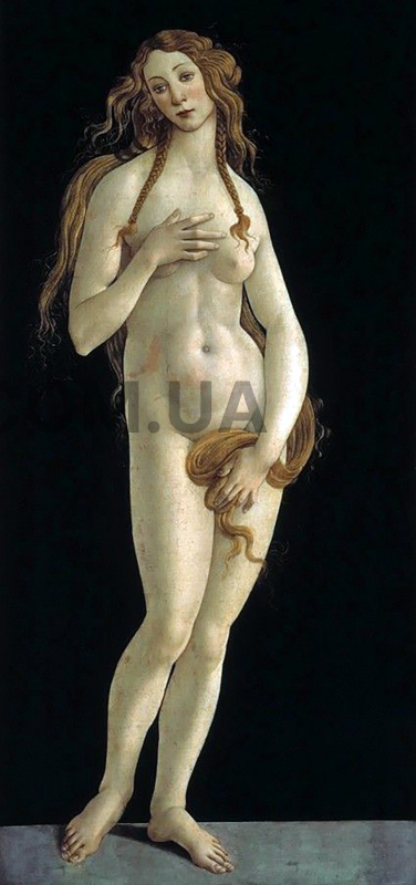   .  Sandro Botticelli 8540 ,  , 